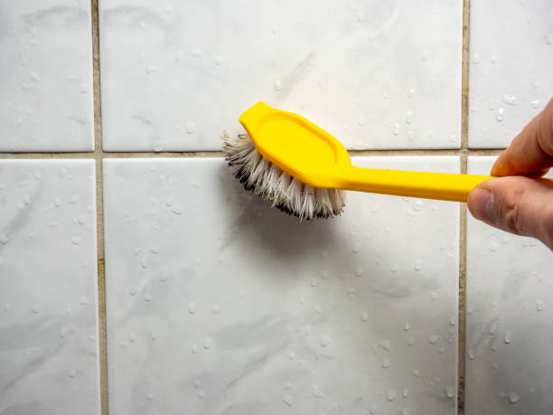 Best Office Mold Removal Services  in Norway, MI
