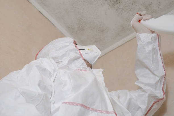 Best Certified Mold Removal  in Norway, MI