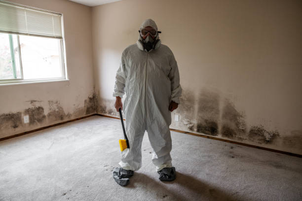 Mold Removal and Inspection in Norway, MI